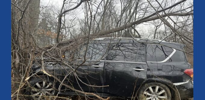 Multiple people injured after vehicle strikes tree on I-65 in Kentucky