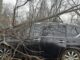Multiple people injured after vehicle strikes tree on I-65 in Kentucky