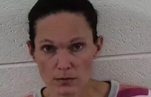 One person arrested following large drug bust in North Carolina