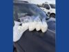 One person arrested following large meth bust in Georgia