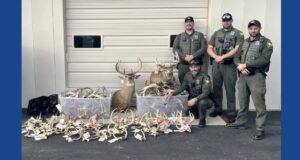 Ohio hunter sentenced after investigation leads to forfeiture of hundreds of deer antlers