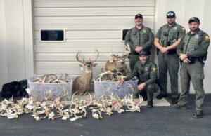 Ohio hunter sentenced after investigation leads to forfeiture of hundreds of deer antlers