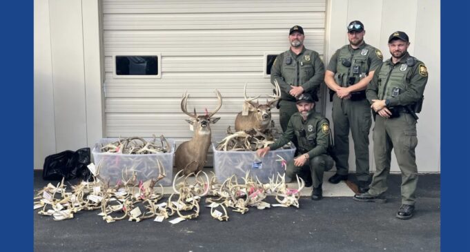 Ohio hunter sentenced after investigation leads to forfeiture of hundreds of deer antlers