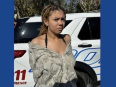 One person arrested after starved dog found in Florida