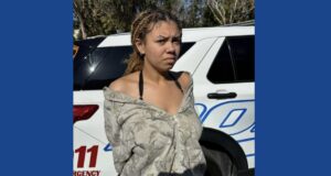 One person arrested after starved dog found in Florida