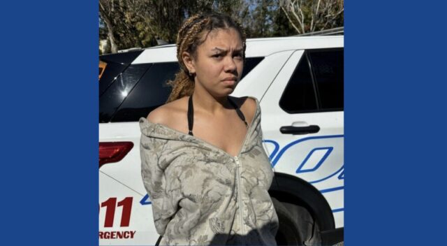 One person arrested after starved dog found in Florida