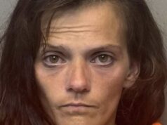 One person arrested following drug bust in Texas