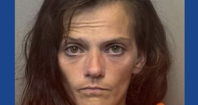 One person arrested following drug bust in Texas