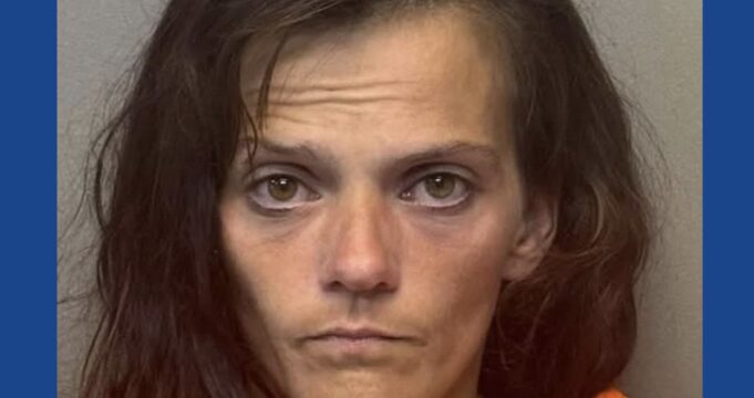 One person arrested following drug bust in Texas