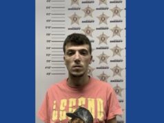 One person arrested following drug bust in Alabama