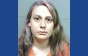 Florida cheer coach arrested on fraud related charges