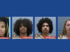 Six people arrested in connection to multiple vehicle break-ins in Alabama