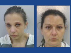 Two Texas residents arrested after using crow decoys to smuggle contraband into Louisiana prison