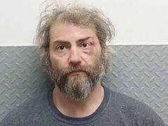 One person arrested following drug bust, vehicle theft in Kentucky