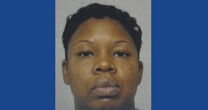 Police searching for wanted theft suspect in Georgia