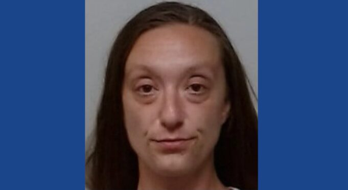 Woman used meth before deadly hit-and-run incident in Florida, according to police