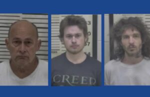 Three people arrested following drug bust in Georgia