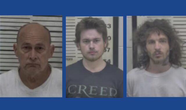 Three people arrested following drug bust in Georgia