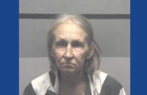 One woman arrested for DUI after dog bites officer during traffic stop in Indiana
