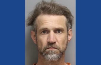 One person arrested after drugs found during traffic stop in South Carolina