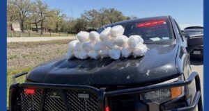 Two people arrested after 42 pounds of suspected meth seized in Fayette County during traffic stop