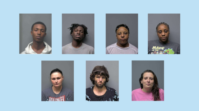 Seven people arrested on drug, robbery charges in Georgia following operation