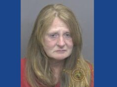 One woman arrested after driving drunk, leaving scene of crash in Indiana