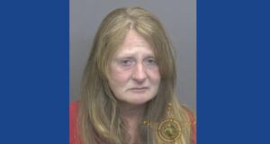 One woman arrested after driving drunk, leaving scene of crash in Indiana