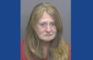 One woman arrested after driving drunk, leaving scene of crash in Indiana
