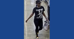 Police searching for wanted theft suspect in Georgia