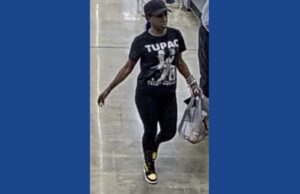 Police searching for wanted theft suspect in Georgia