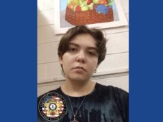 Police searching for missing woman in Virginia