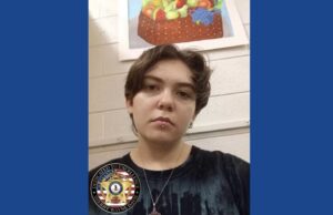 Police searching for missing woman in Virginia