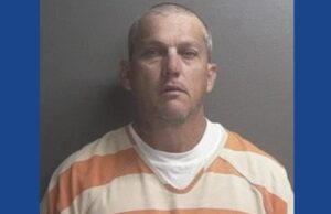 Georgia fugitive arrested on drug charges following field chase