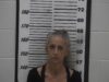 One person arrested following large fentanyl bust in Georgia