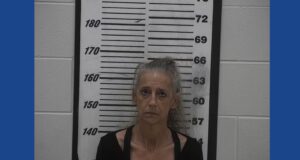 One person arrested following large fentanyl bust in Georgia