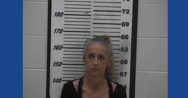 One person arrested following large fentanyl bust in Georgia