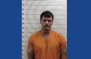 One person arrested following large drug bust in Georgia