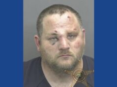 One person arrested after fighting with deputy in Indiana