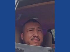 Wanted murder suspect arrested following traffic stop on I-95 in Georgia