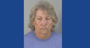 One person arrested on multiple animal cruelty charges after neglected cows found in Florida