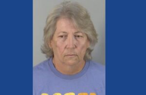 One person arrested on multiple animal cruelty charges after neglected cows found in Florida