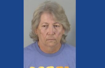 One person arrested on multiple animal cruelty charges after neglected cows found in Florida