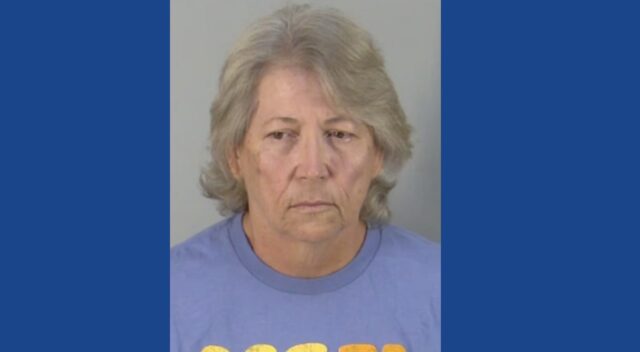 One person arrested on multiple animal cruelty charges after neglected cows found in Florida
