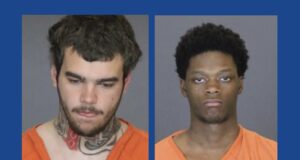Two people arrested after stealing from multiple vehicles in Michigan