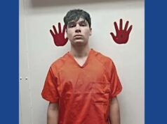 One person arrested on human smuggling and drug charges following traffic stop in Texas