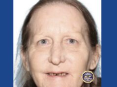 Police searching for missing woman in Tennessee