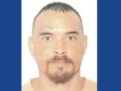 Police searching for missing person in Virginia