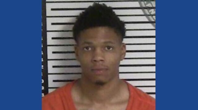 One person arrested after police seize 15 pounds of drugs in Louisiana