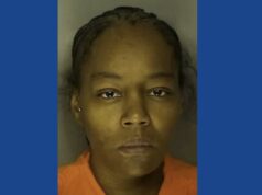Wanted woman from Ohio arrested after police chase in South Carolina results in multiple crashes